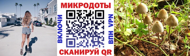 Галлюциногенные грибы ЛСД  hydra ссылки  Вихоревка 